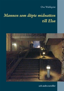 Mannen som döpte midnatten till Elsa och andra noveller