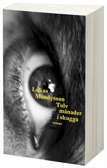 Tolv månader i skugga
