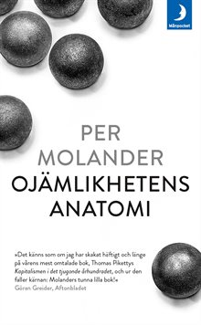 Ojämlikhetens anatomi