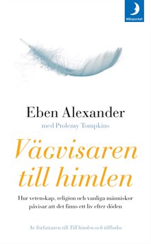 Vägvisaren till himlen : hur vetenskap, religion och vanliga människor påvisar att det finns ett liv efter döden 