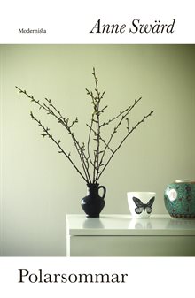 Från jorden till månen