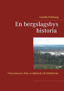 En bergslagsbys historia : Vintermossen från svedjebruk till fritidsbruk