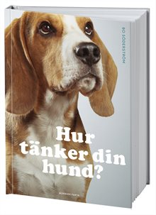 Hur tänker din hund?