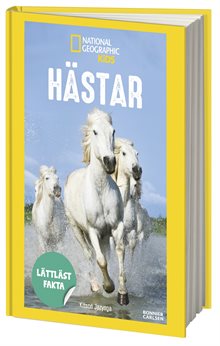 Hästar