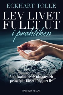 Lev livet fullt ut i praktiken : meditationer, övningar och principer för ett frigjort liv